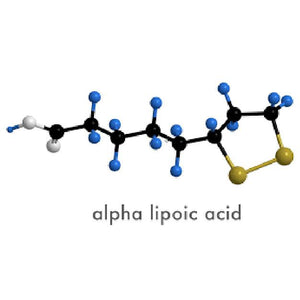 Alpha Lipoic Acid