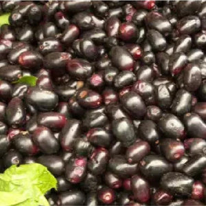 Jambu Beej