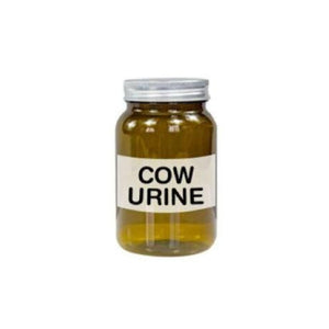 Cow Urine
