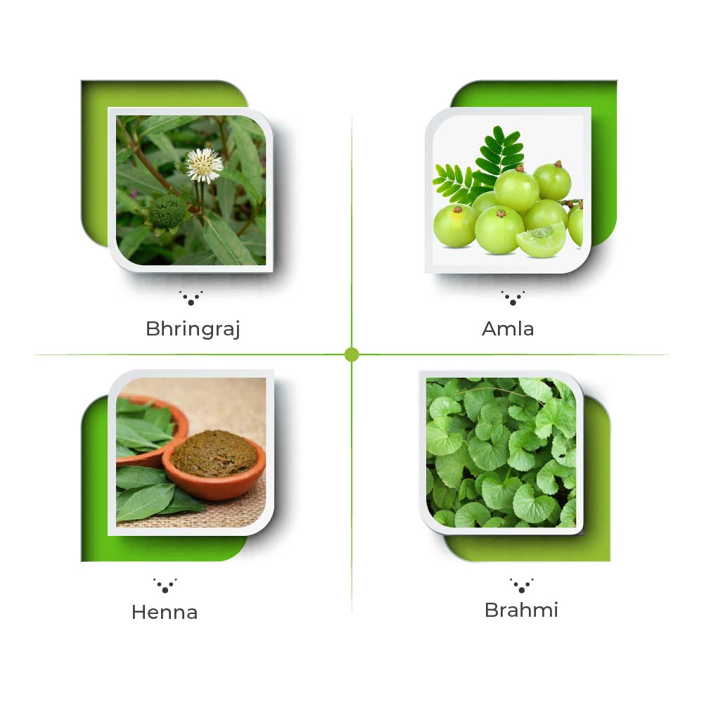 Siya Oil - The Herbal Hair Oil Powered With Bhringraj