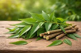 Neem Leaves