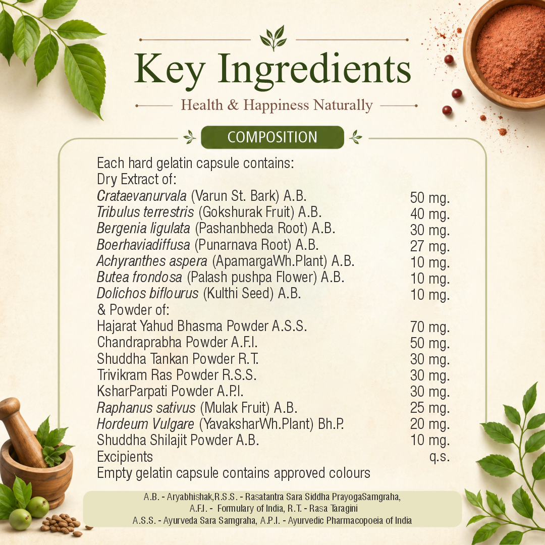 Rencal Capsule – Natural Support for Kidney Health