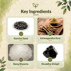 Sparant Gold Capsule – Ayurvedic Support for Energy & Performance
