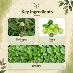 Siya Capsules – Herbal Nutrition for Healthy Hair Growth