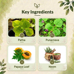 Vita Plat Capsule – Natural Support for Platelet Health