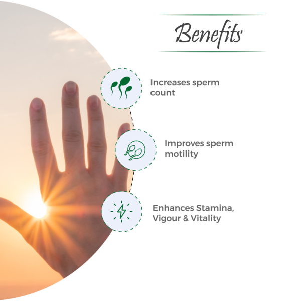 Sparant Capsule – Support for Male Fertility & Vitality