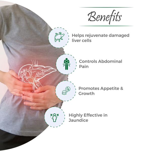 Stivil Syrup – Comprehensive Support for Liver Health