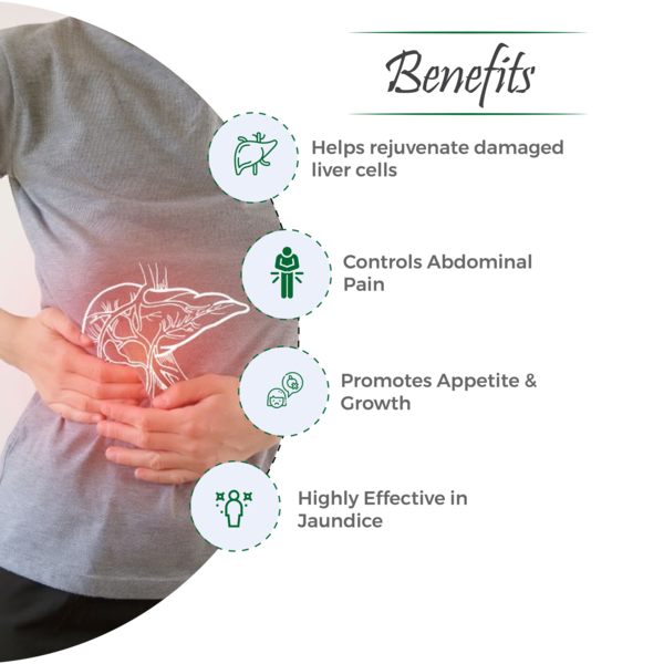 Stivil Tablet – Comprehensive Support for Liver Health