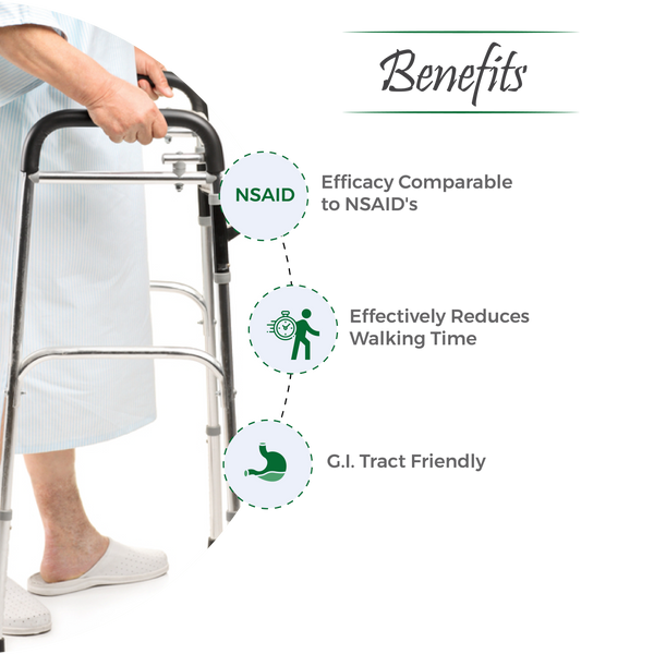 Arthrum Plus Capsule -  Ayurvedic Mobility Restorer