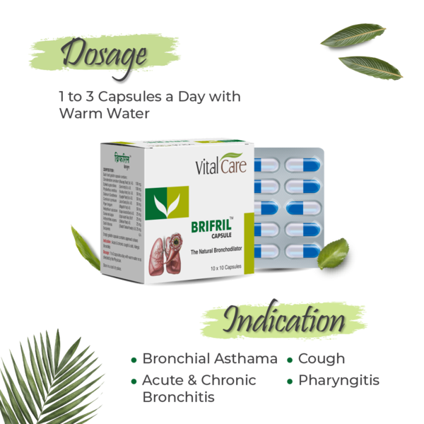 Brifril Capsules – Natural Support for Clear & Comfortable Breathing
