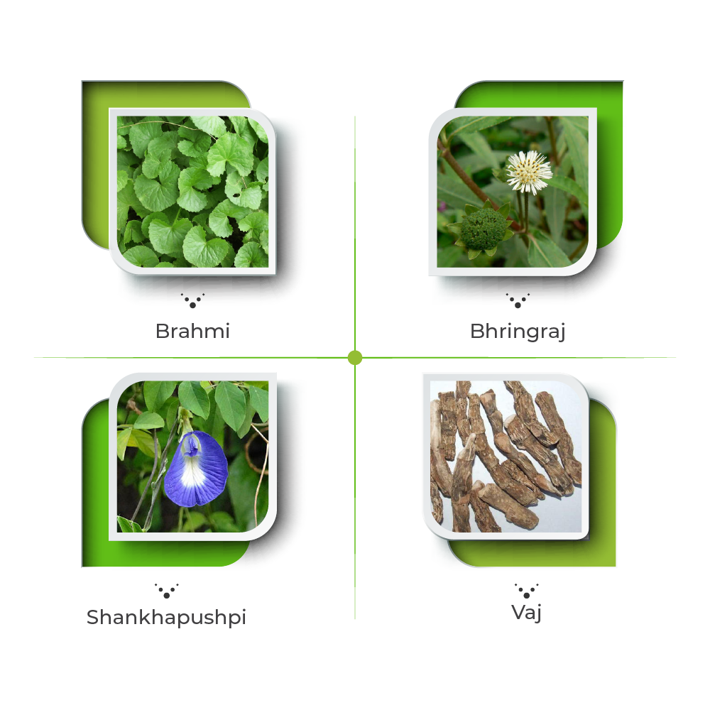 Hibril Syrup – Natural Support for Focus & Cognitive Health