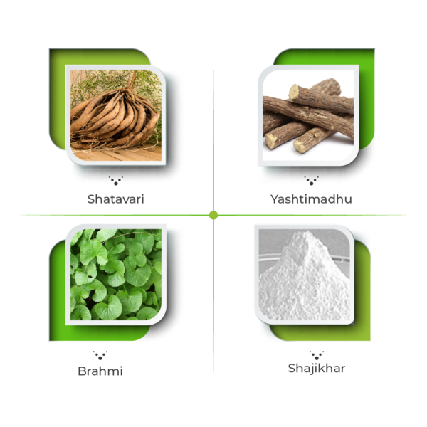 Pepgard Ayurvedic Syrup Ingredients