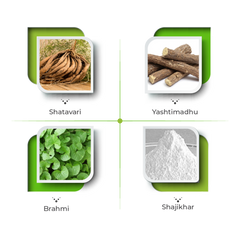 Pepgard Ayurvedic Syrup Ingredients