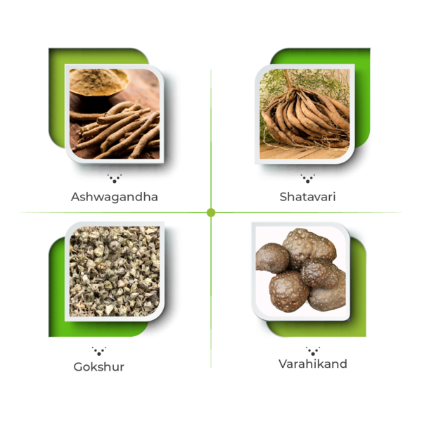 Rizer Capsules – Strength, Recovery & Daily Vitality