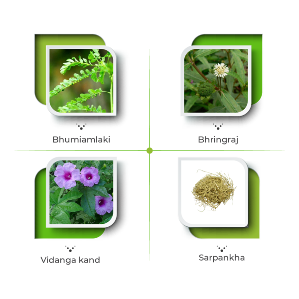 Stivil Syrup – Comprehensive Support for Liver Health